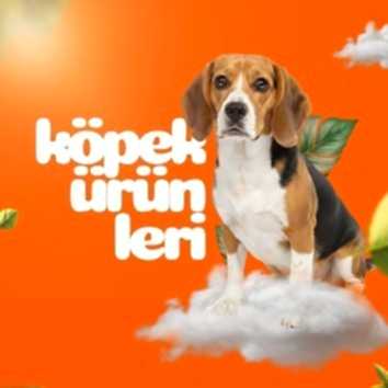 Köpek Ürünleri