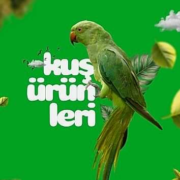 Kuş Ürünleri