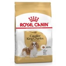 Royal Canin Adult Cavalier King Charles Yetişkin Köpek Maması 1,5Kg
