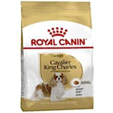 Royal Canin Adult Cavalier King Charles Yetişkin Köpek Maması 3Kg