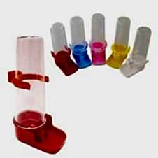 Birdlife Muhabbet Suluk 100 Ml 50 Li