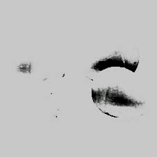 Birdlife Sahte Yumurta