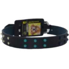 Doglife Desenli Deri Boyun Tasması 2,5x56 Cm