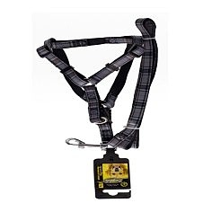 Doglife Desenli Göğüs Tasması+Gezdirme