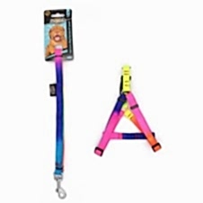 Doglife Gökkuşağı Göğüs Tasması+Gezdirme 2 Cm