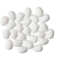 Güvercin Sahte Yumurta