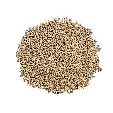 Vivid Sade Kanarya Yemi (Aspur) 25Kg