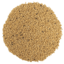 Premium Kalite Sarı Hardal Tohumu 500 Gr