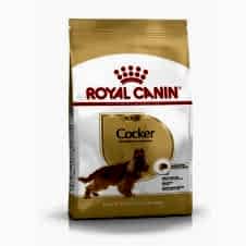 Royal Canin Cocker Yetişkin Köpek Maması 3 Kg