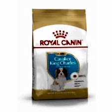 Royal Canin Puppy Cavalier King Charles Yavru Köpek Maması 1,5 Kg
