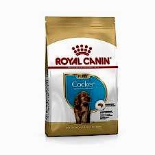 Royal Canin Cocker Junior Yavru Köpek Maması 3 Kg