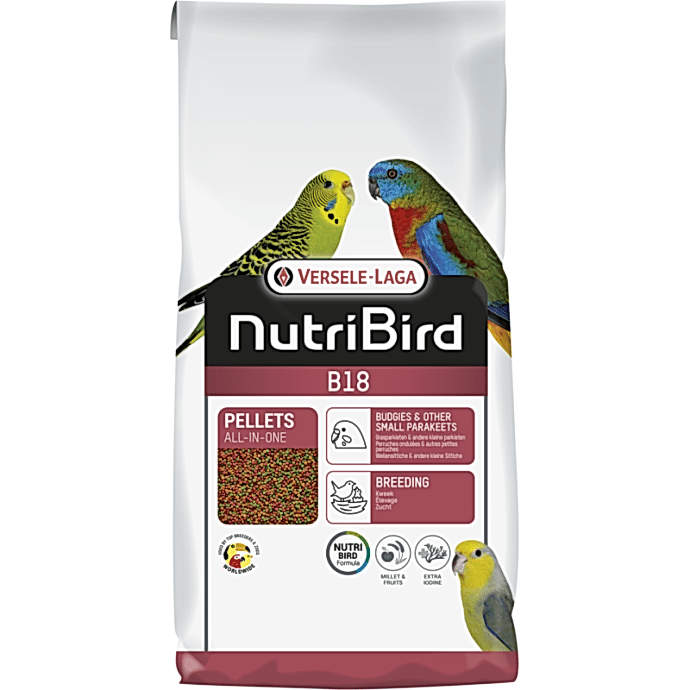 Rengarenk Pet Shop | Kedi, Köpek, Kuş, Balık ve Tüm Evcil Hayvan Ürünleri